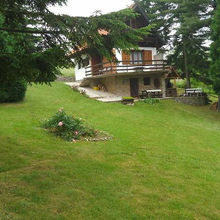 Apartmani Planinska Kuca, Jagodnja Krupanj エクステリア 写真