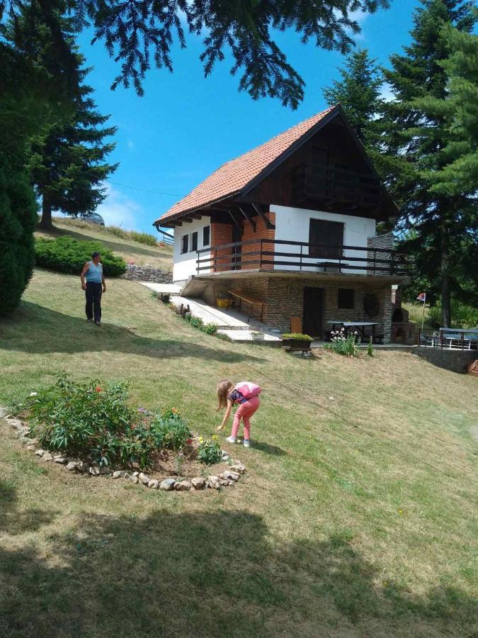 Apartmani Planinska Kuca, Jagodnja Krupanj エクステリア 写真