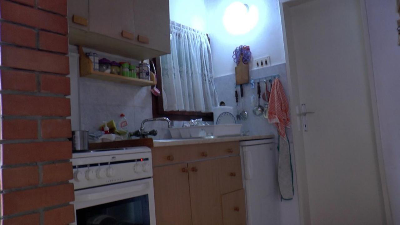 Apartmani Planinska Kuca, Jagodnja Krupanj エクステリア 写真
