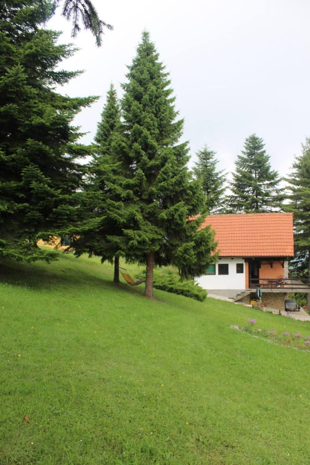 Apartmani Planinska Kuca, Jagodnja Krupanj エクステリア 写真
