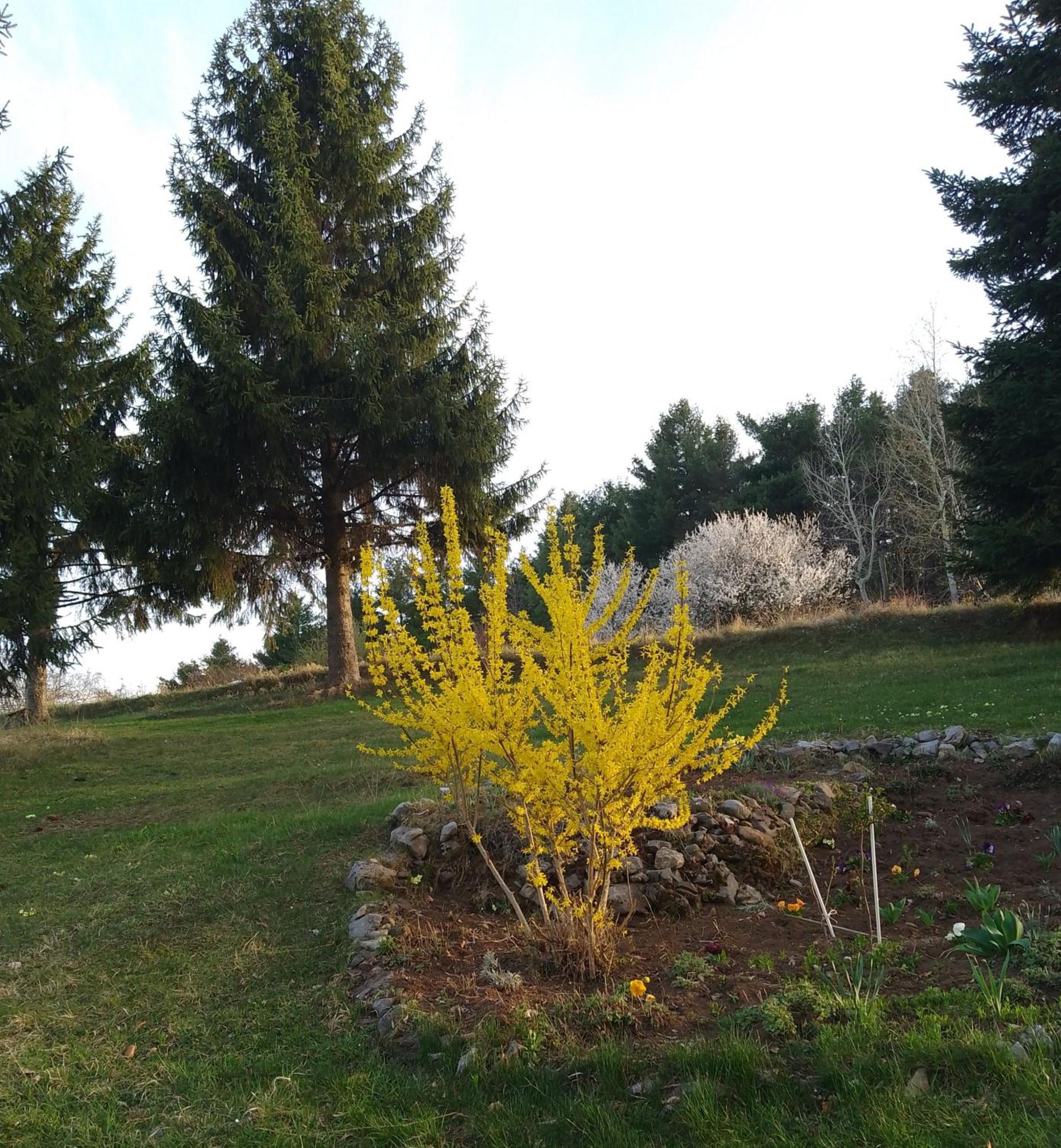 Apartmani Planinska Kuca, Jagodnja Krupanj エクステリア 写真