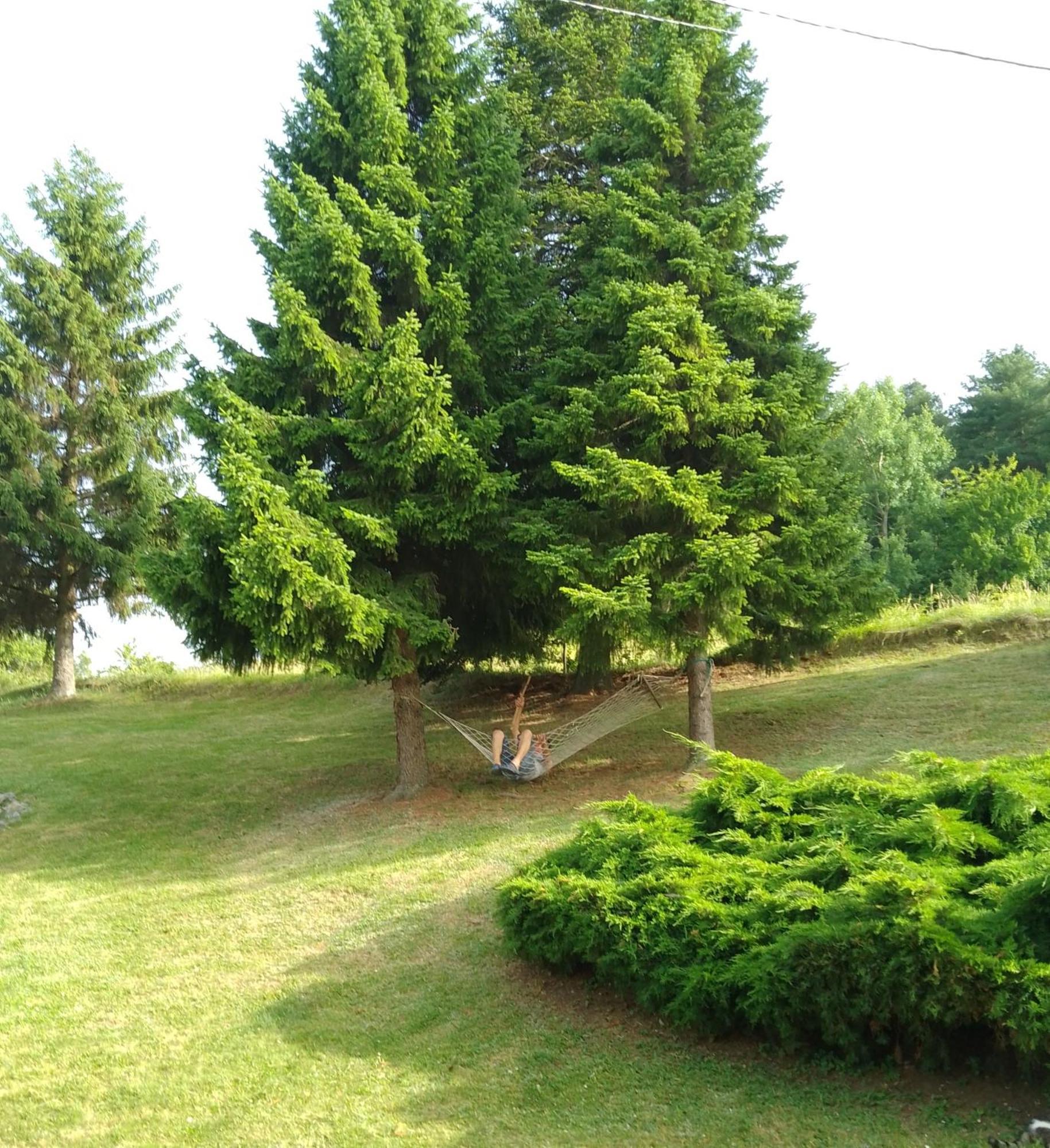 Apartmani Planinska Kuca, Jagodnja Krupanj エクステリア 写真